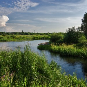 Речная свежесть летнего дня